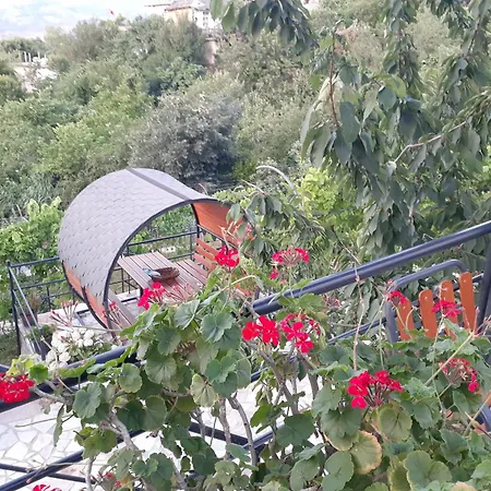 Bixhaku Gjirokastër