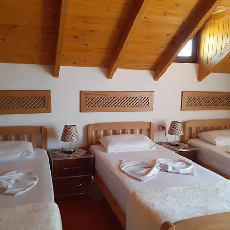 Bixhaku * Gjirokastër