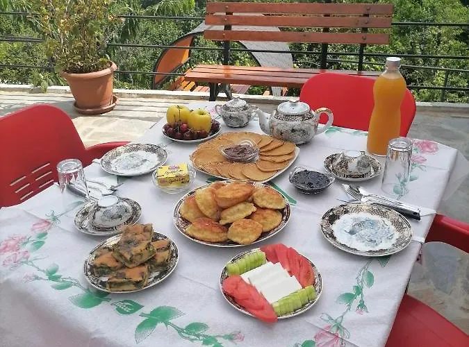 Bixhaku Gjirokastër