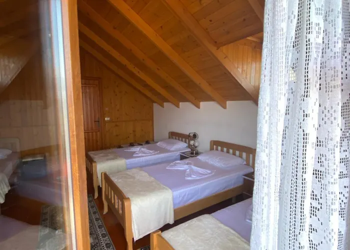 Bixhaku 4* Gjirokastër