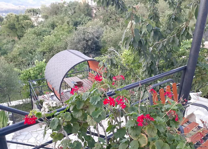 Bixhaku Gjirokastër